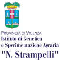 ISTITUTO STRAMPELLI