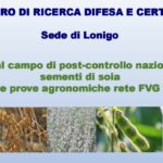 Visita al campo di post-controllo nazionale di sementi di soia| 12 ottobre 2023