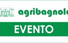 Convegno “Un modo sostenibile di fare mais da insilato e non solo…” | 30 gennaio 2018 ore 19:45