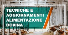 Convegno: Tecniche e aggiornamenti alimentazione bovina | lunedì 26 febbraio 2024